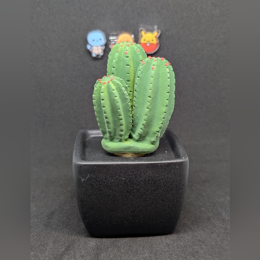 Essential Oil Diffuser - Cactus - Final Price!